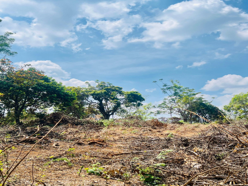  7 Acre Agricultural/Farm Land for Sale in Madikeri, Kodagu