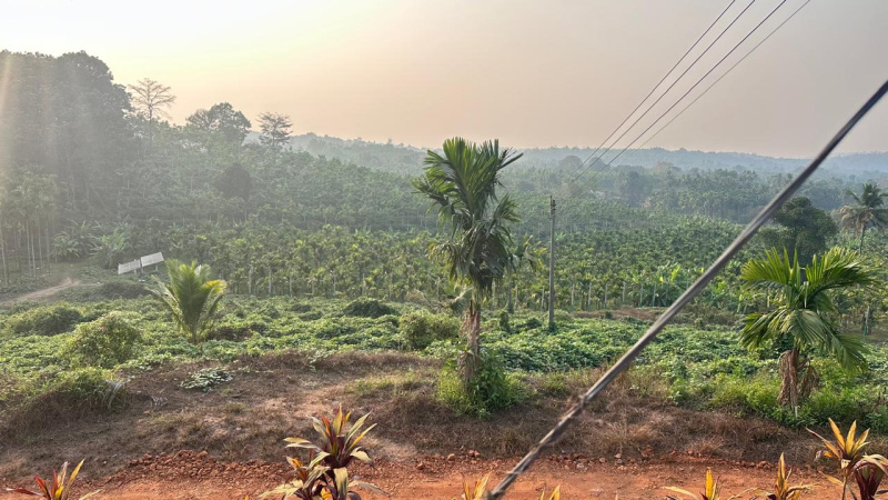  40 Acre Agricultural/Farm Land for Sale in Beltangadi, Dakshin Kannad
