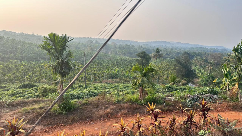  40 Acre Agricultural/Farm Land for Sale in Beltangadi, Dakshin Kannad