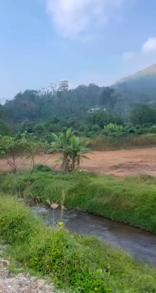  2 Acre Agricultural/Farm Land for Sale in Madikeri, Kodagu