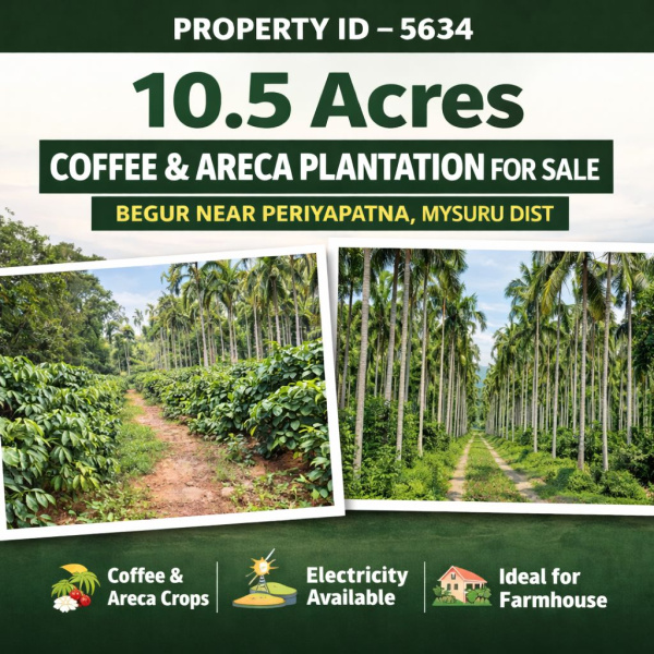  11 Acre Agricultural/Farm Land for Sale in Bannur Road, Mysore
