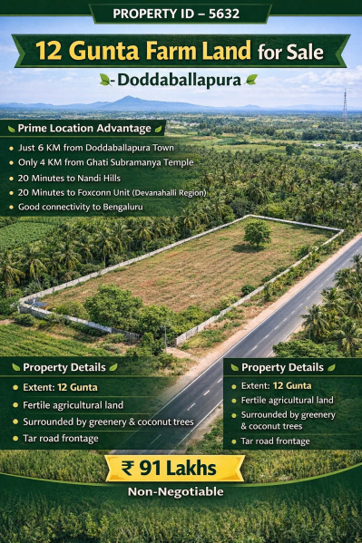  12 Guntha Agricultural/Farm Land for Sale in Doddaballapur, Bangalore