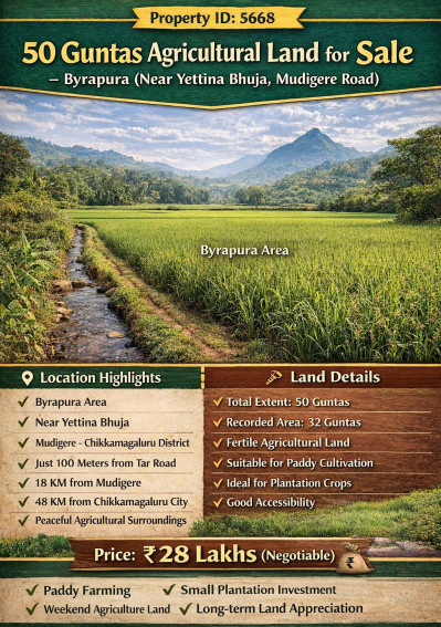  50 Guntha Agricultural/Farm Land for Sale in Mudigere, Chikmagalur