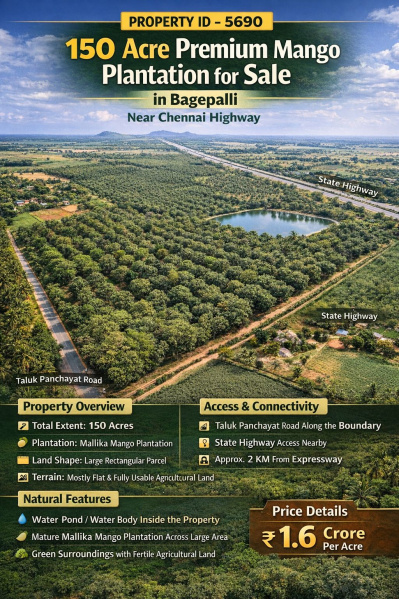  150 Acre Agricultural/Farm Land for Sale in Bagepalli, ChikBallapur