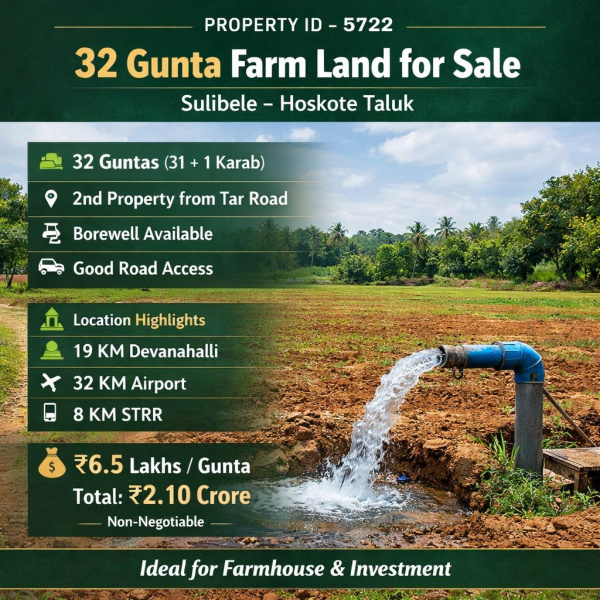  32 Guntha Agricultural/Farm Land for Sale in Sulibele, Bangalore