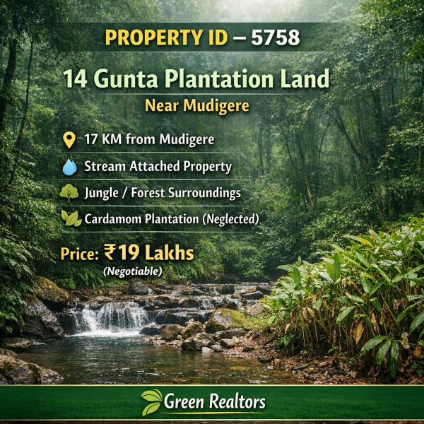 14 Guntha Agricultural/Farm Land for Sale in Mudigere, Chikmagalur