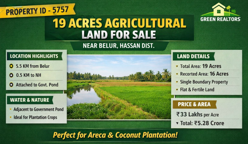  19 Acre Agricultural/Farm Land for Sale in Belur Hassan