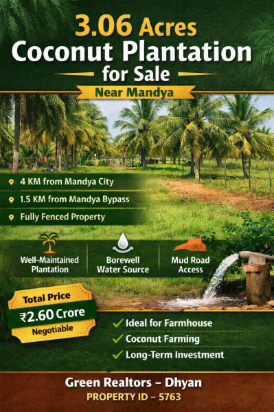  3 Acre Agricultural/Farm Land for Sale in Bangalore-Mysore Road, Mandya