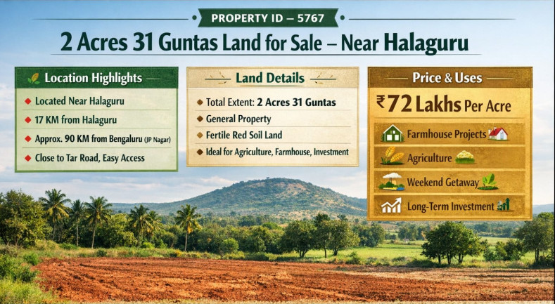  2 Acre Agricultural/Farm Land for Sale in Halaguru, Mandya