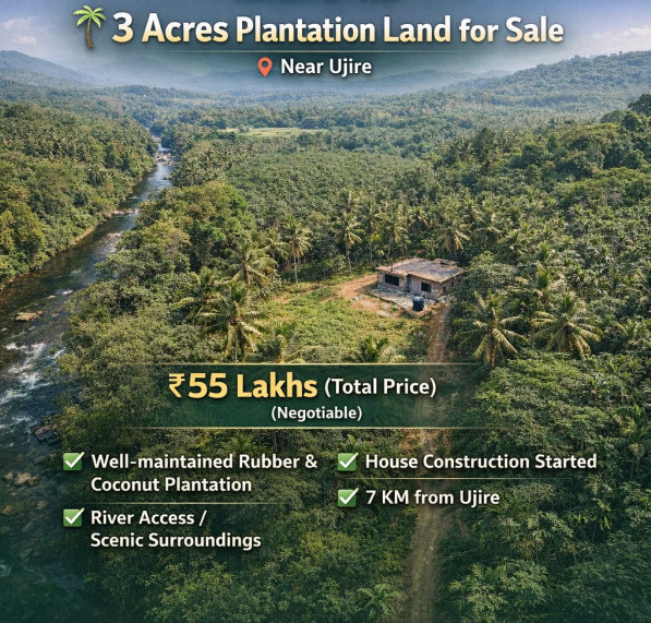  3 Acre Agricultural/Farm Land for Sale in Ujire, Mangalore