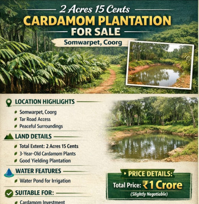  2 Acre Agricultural/Farm Land for Sale in Somvarpet Sorab, Kodagu