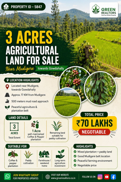  3 Acre Agricultural/Farm Land for Sale in Mudigere, Chikmagalur