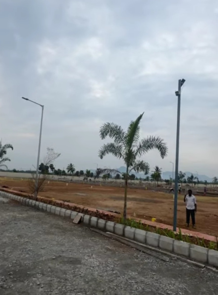 Seduvalai, Vellore photo 4