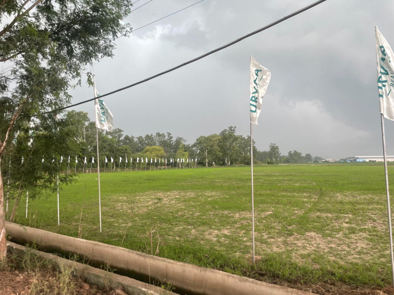Nh 44, Rajpura photo 3