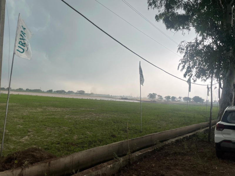 Nh 44, Rajpura photo 4