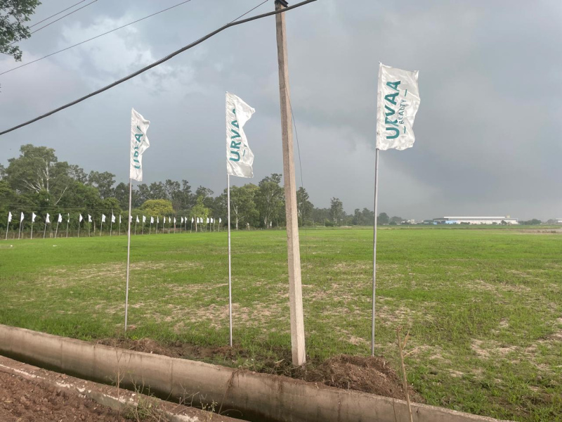 Nh 44, Rajpura photo 2