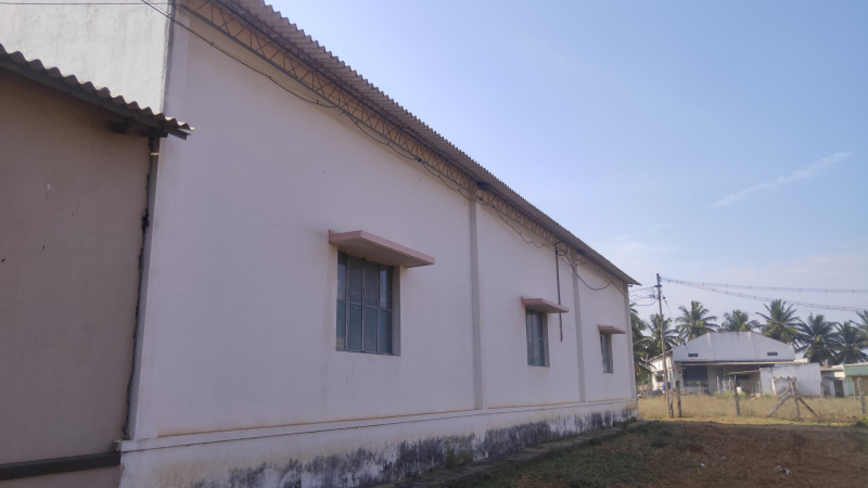 Palladam, Tirupur photo 5