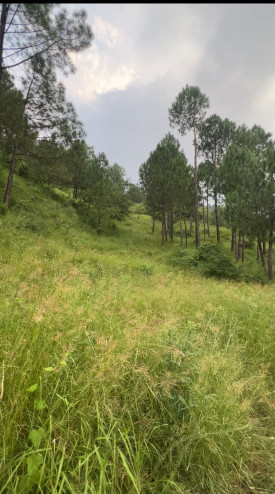 Sabathu, Solan photo 4