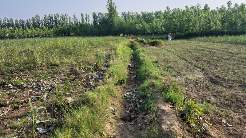 Akashdeep Enclave, Roorkee photo 3