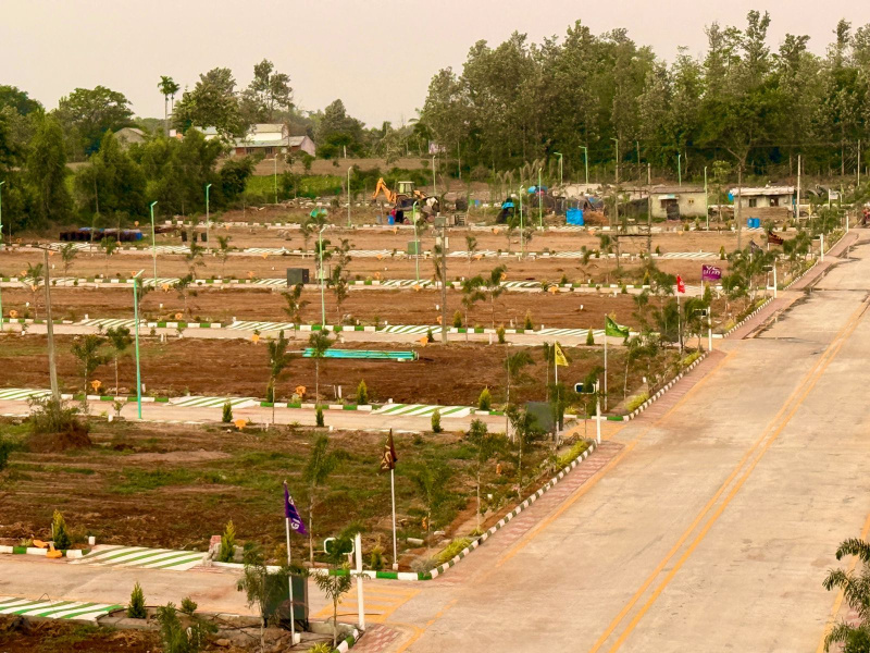 Bogadi, Mysore photo 3