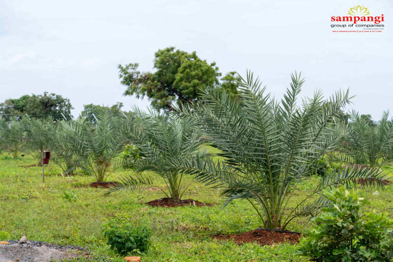 Vinukonda, Guntur photo 4