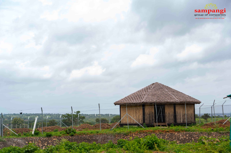 Narayankhed, Sangareddy photo 4