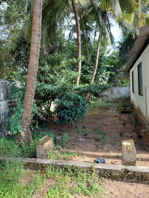 Manipura, Udupi photo 5