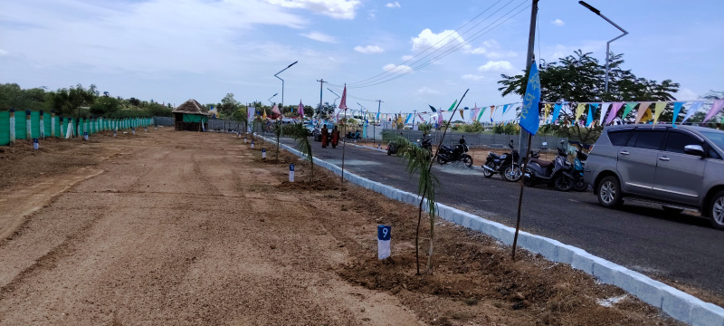 Karuppayurani, Madurai photo 5