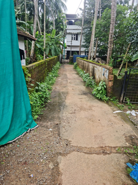 Thiruvannur, Kozhikode photo 4