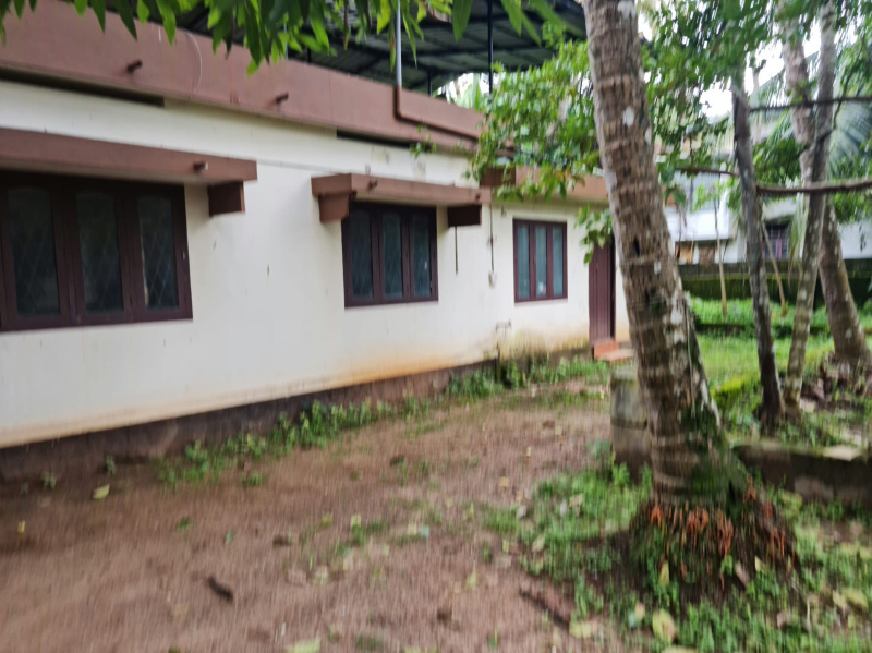 Thiruvannur, Kozhikode photo 3