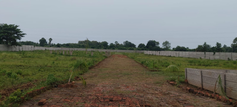 Bihta, Patna photo 3