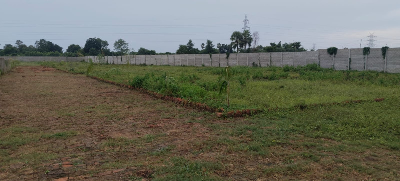 Bihta, Patna photo 4