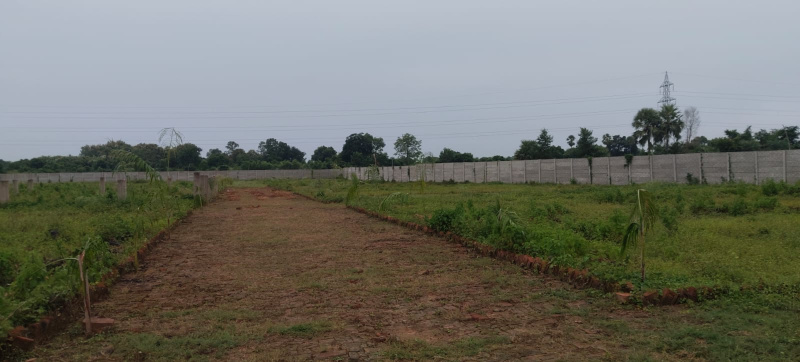 Bihta, Patna photo 5