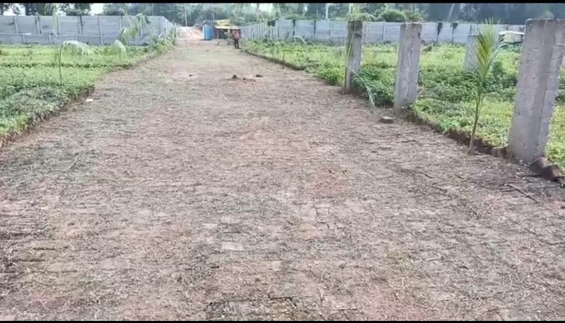 Bihta, Patna photo 2