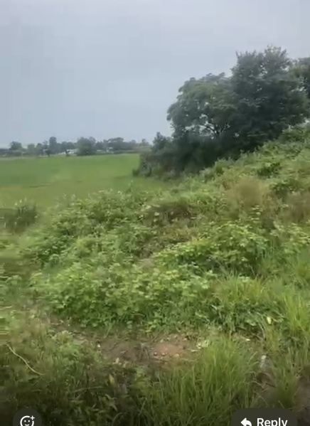 Mandar, Ranchi photo 4