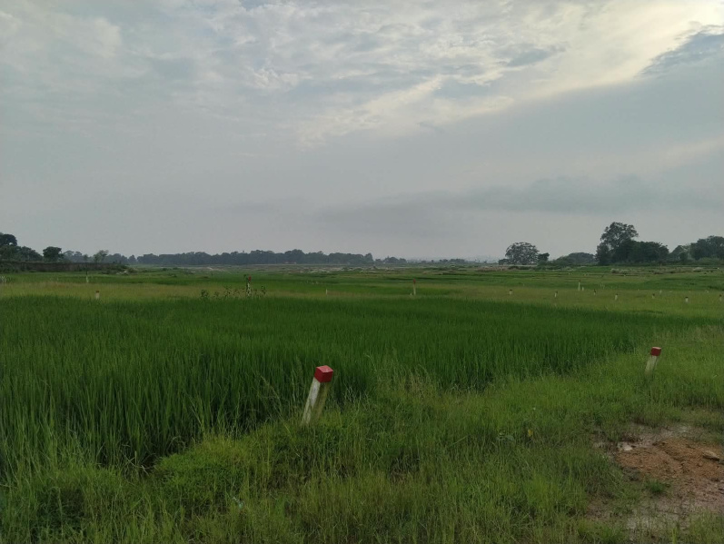 Kanke, Ranchi photo 4