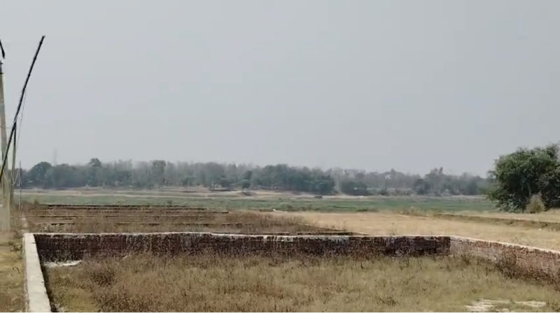 Karjaha, Gorakhpur photo 5
