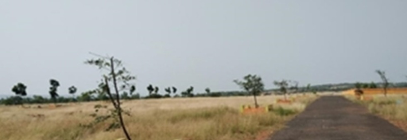 Rajapur, Ratnagiri photo 3