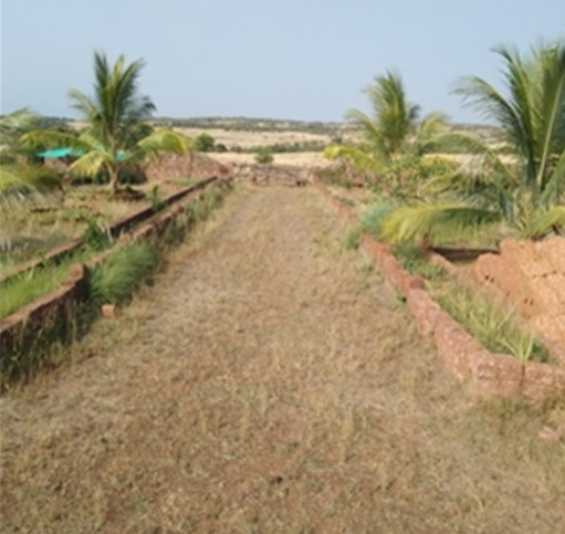 Rajapur, Ratnagiri photo 4