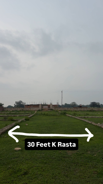 Bara, Prayagraj photo 3