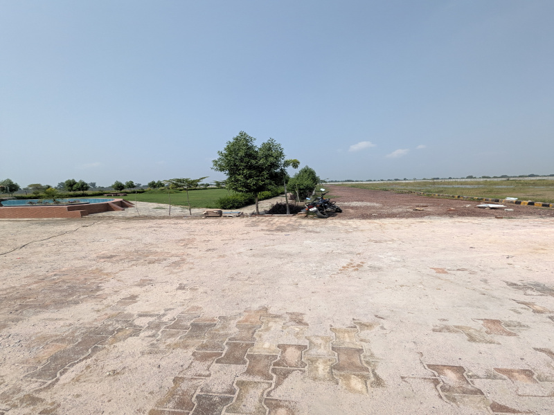Govardhan, Mathura photo 5