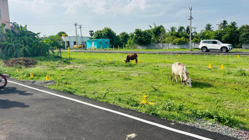 Athur, Chengalpattu photo 4