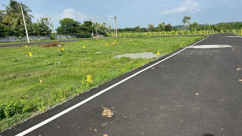 Athur, Chengalpattu photo 5