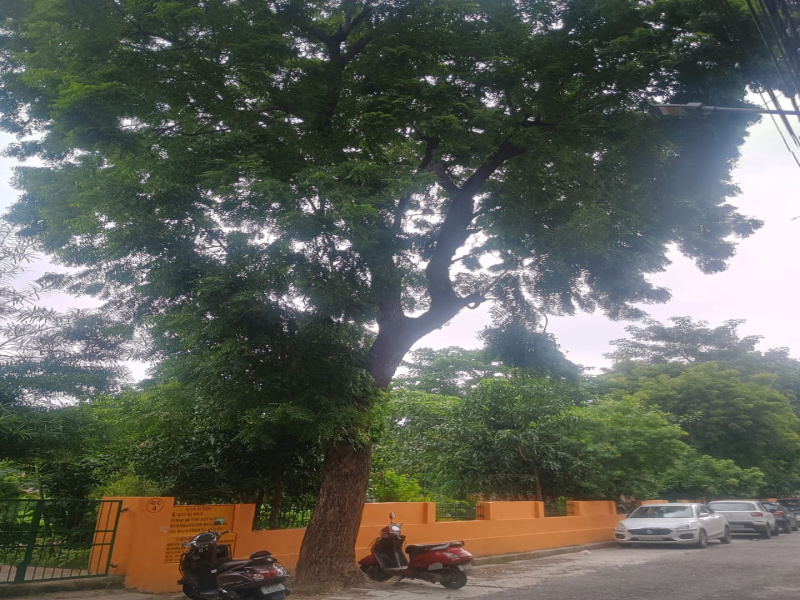 Indira Nagar, Sector 19, Lucknow photo 5