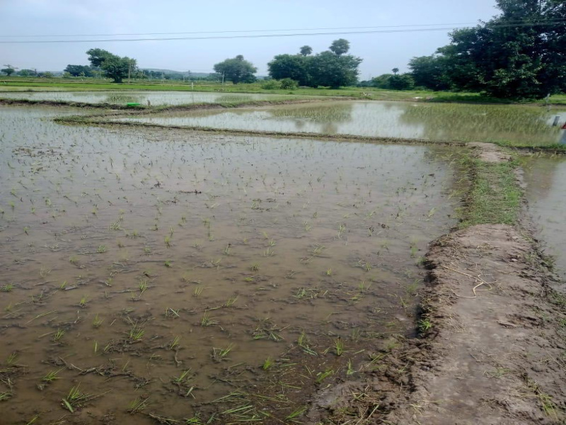 Yeldurthy, Medak photo 3