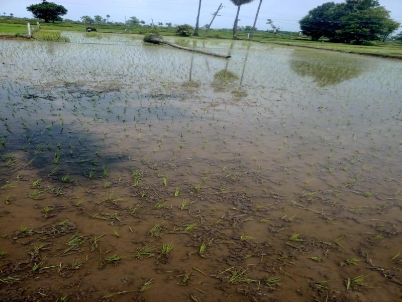 Yeldurthy, Medak photo 4