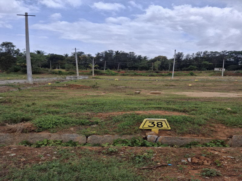 Nelamangala, Bangalore photo 2