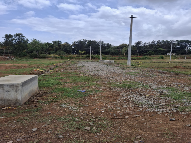 Nelamangala, Bangalore photo 4