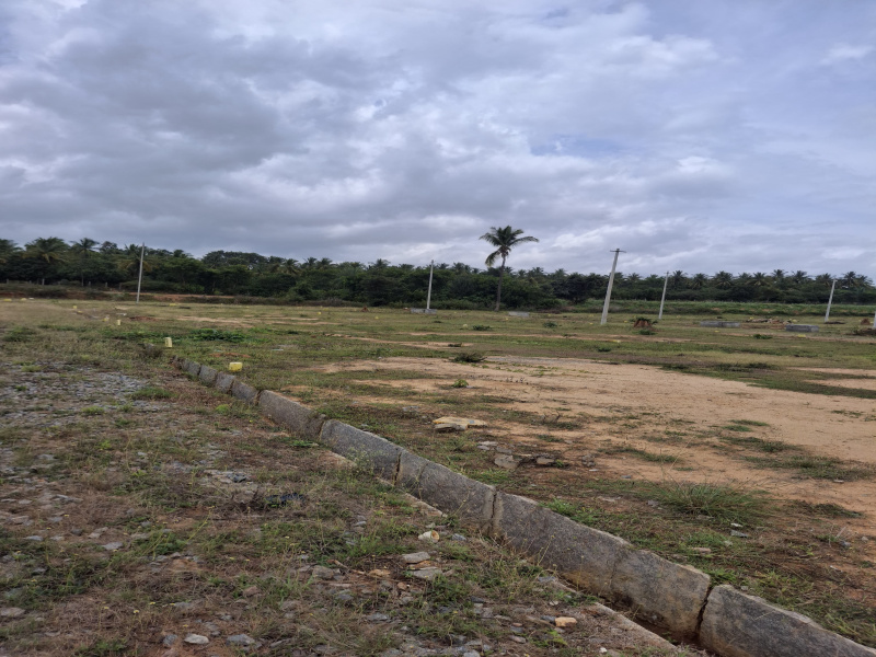 Nelamangala, Bangalore photo 5