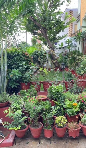 Shanti Nagar, Bilaspur photo 3